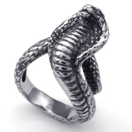 Üppiges Design Zarte Farben Zuverlässiger Qualitäts-Titanring