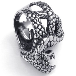 Attraktives Design Zarte Farben Die Königin Der Qualität Titanring