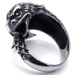 Geschickte Herstellung Zarte Farben Zuverlässige Qualität Titan Ring