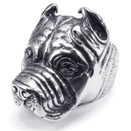 Modernes Design Zarte Farben Ausgezeichnete Qualität Titan Ring