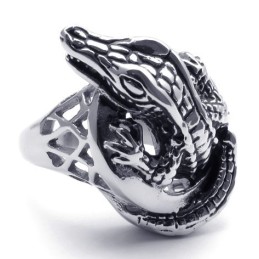 Ausgefeilte Technologie Zarte Farben Für Eine Lange Geschichte Titanring