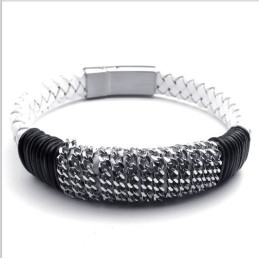 Modernes Design Zarte Farben Zuverlässige Qualität Titan Lederarmband