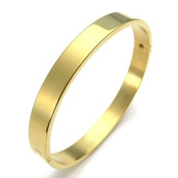 Ausgefeilte Technologie Wunderschöne Farben Hochwertiger Titan-Armreif