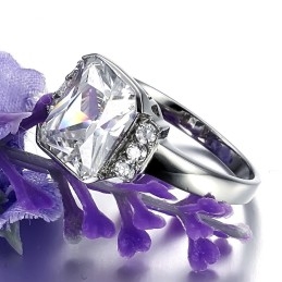 Bekannt Für Seinen Hochwertigen Damenring Aus Titan Mit Strass