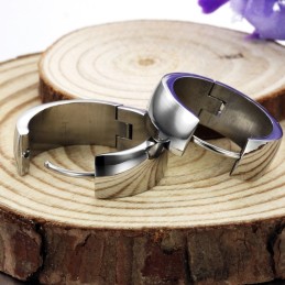 Komplett In Spezifikationen Weibliche Titan Ohrringe