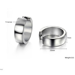 Komplett In Spezifikationen Weibliche Titan Ohrringe