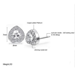 Um Im In- Und Ausland Ein Hohes Ansehen Zu Genießen Weibliche Platinierte Titanohrringe Mit Diamant