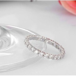 Weltweit Bekannter Damenring Aus Platiniertem Titan