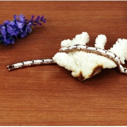 Weltweit Bekanntes Wolfram-Keramik-Armband