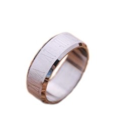 Herren Titanring