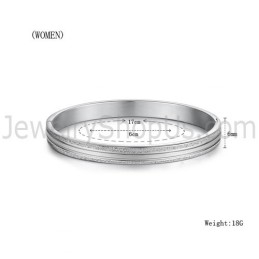 Tatanium Paar Armreifen C862