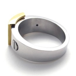 Titanring Mit Goldakzent
