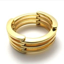 Gold Puzzle Titan Ring