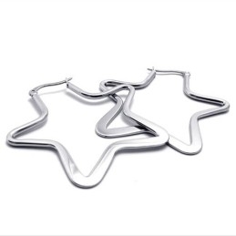 Stern-Titan-Ohrringe