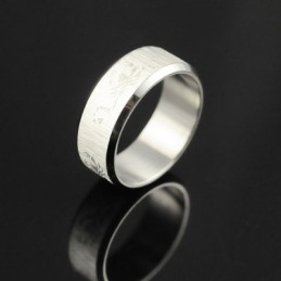 Skorpion Herren Titanring