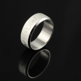 Skorpion Herren Titanring