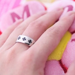 Herren Titanring