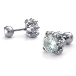 Neueste Technologie Farbbrillanz Hochwertige Titanohrringe