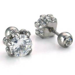 Neueste Technologie Farbbrillanz Hochwertige Titanohrringe