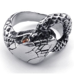 Fein Verarbeiteter Farbbrillanz Hochwertiger Titanring