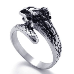 Modernes Design Zarte Farben Stabile Qualität Titan Ring